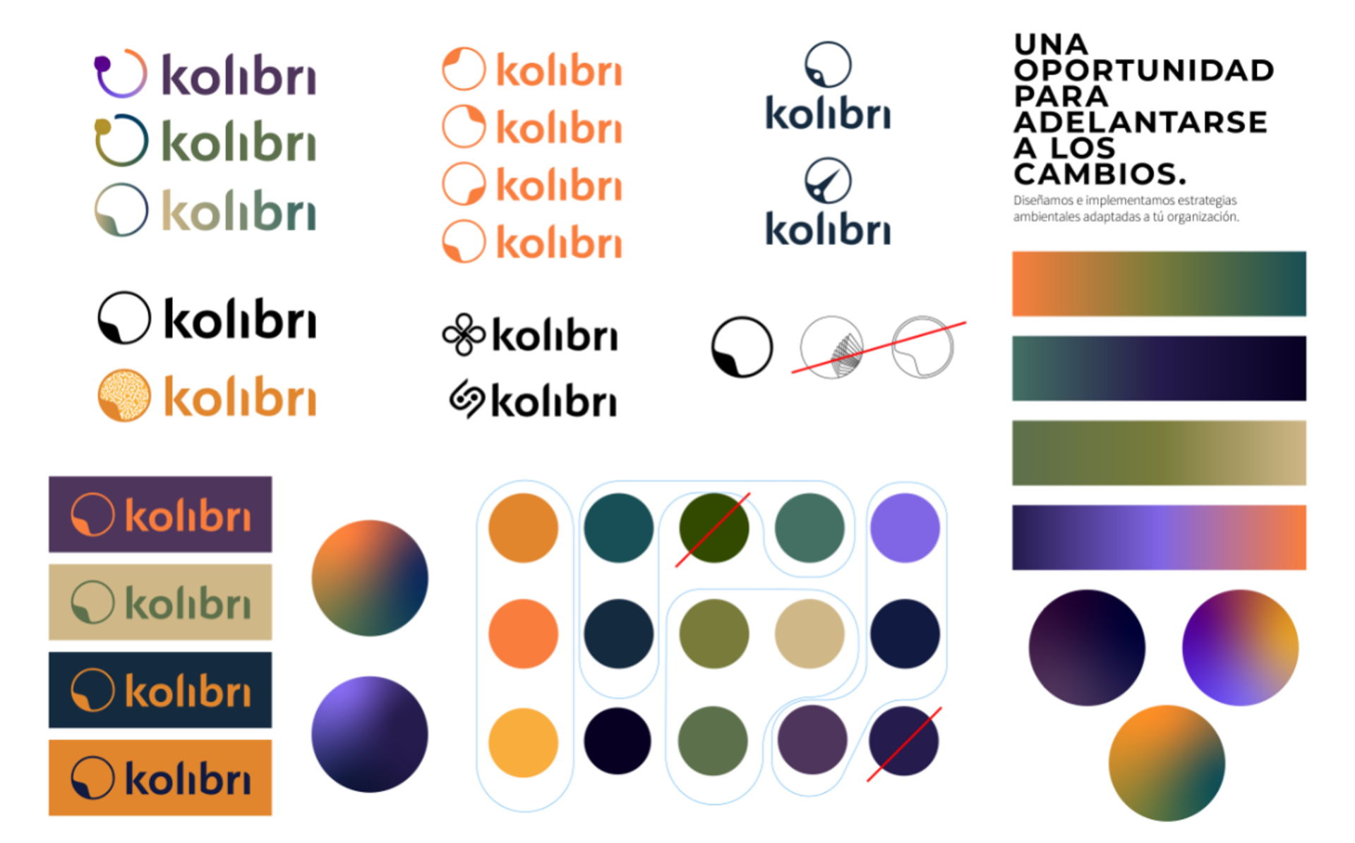 Kolibri logo & palette