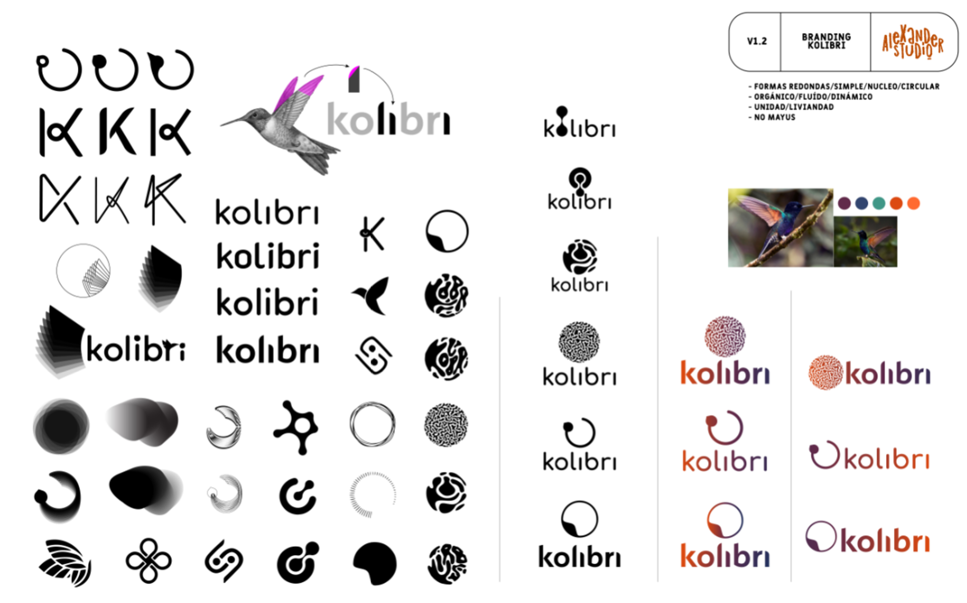 Kolibri logo iterations